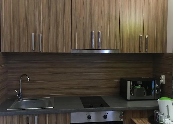 منتزه العطل Tm Deluxe Located In Sunny ساني بيتش